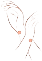 Poignets
